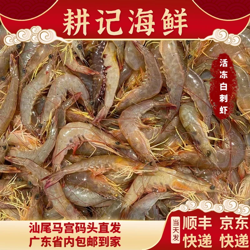 新鲜白刺虾 （明虾）汕尾马宫本港纯天然野生海捕冷冻锁鲜冷链配送