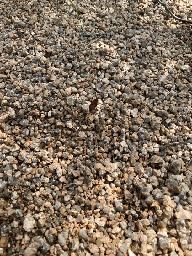 自然高品质风化砂