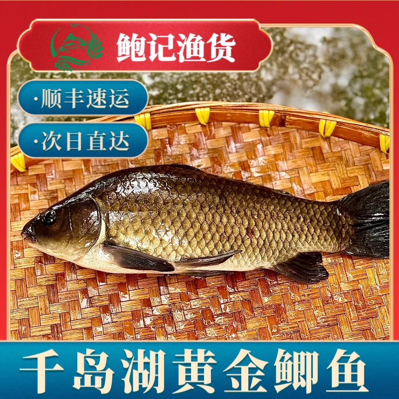 打氧活发千岛湖生态黄金鲫鱼·顺丰速运·高蛋白产妇补汤