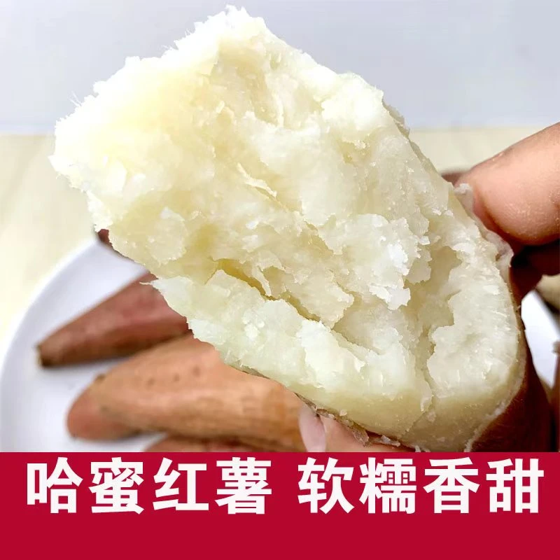 豫南盘古山哈密红薯冰糖心蜜薯地瓜甘薯山芋红苕番薯50斤包邮