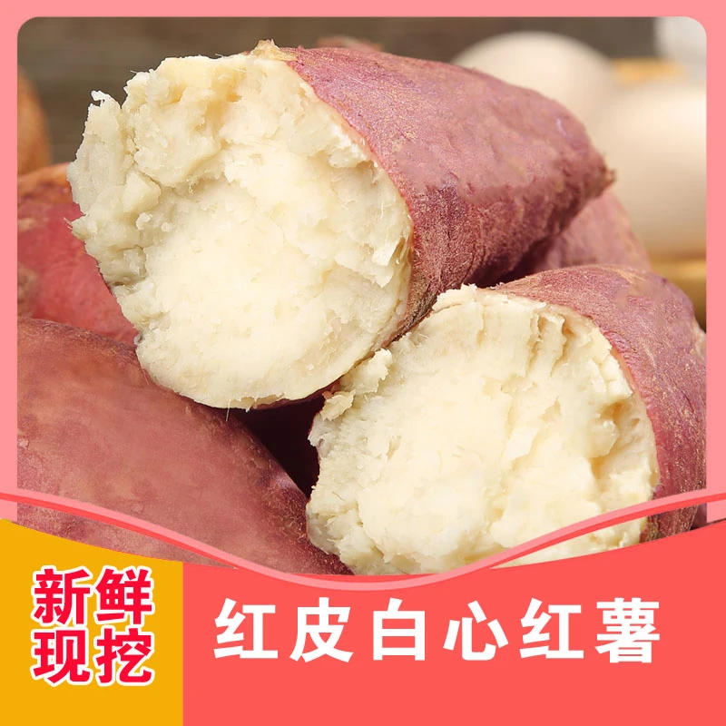 河南盘古山白心红薯番薯老品种山芋红苕粉糯地瓜新鲜5斤/50斤包邮