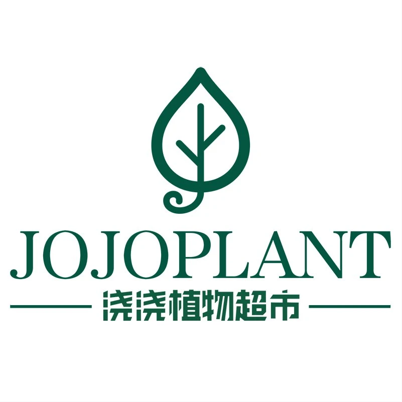 【资材】浇浇植物超市JOJOplant  直播间