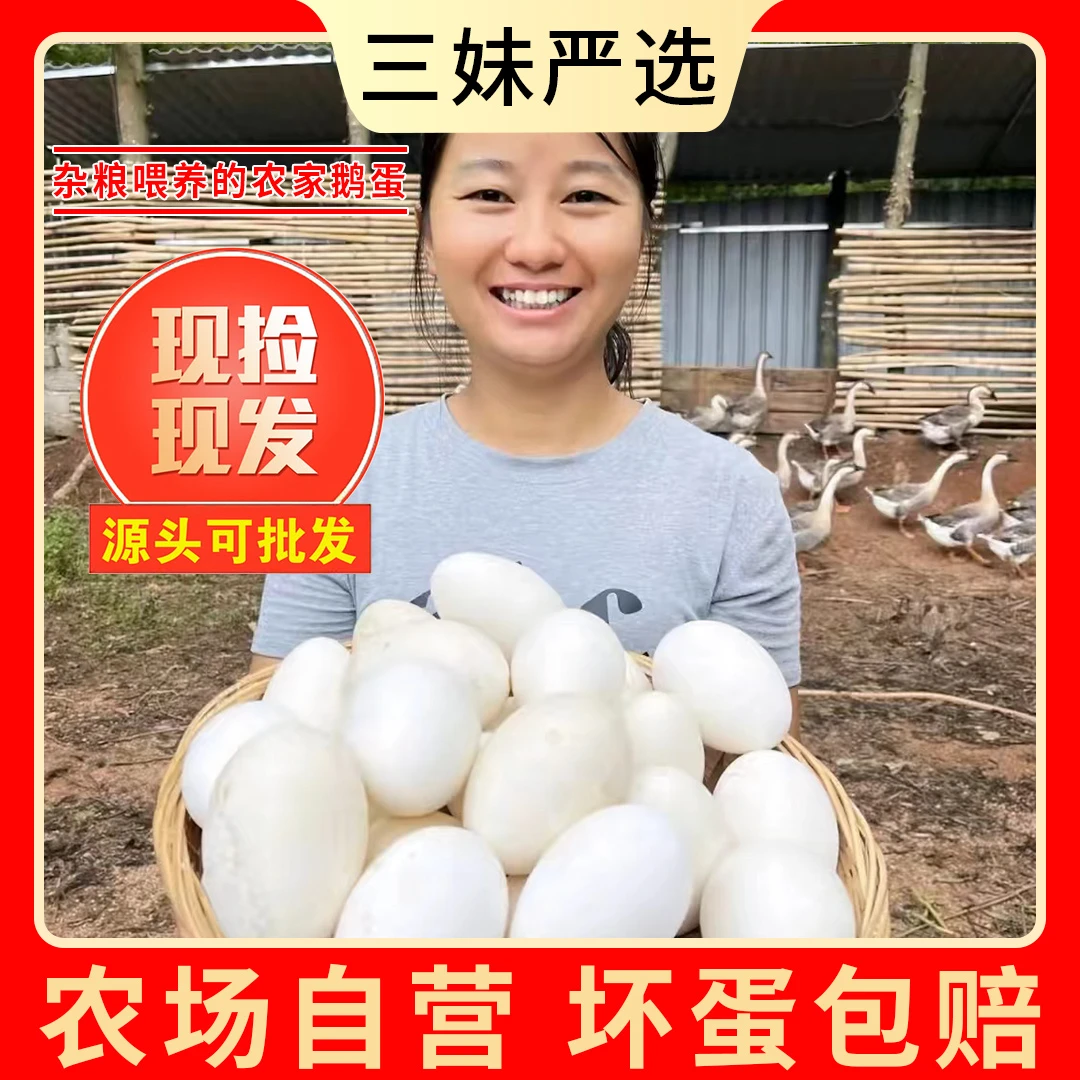 【三妹家】现捡现发新鲜散养鹅蛋一箱12枚单枚重120g左右双黄居多