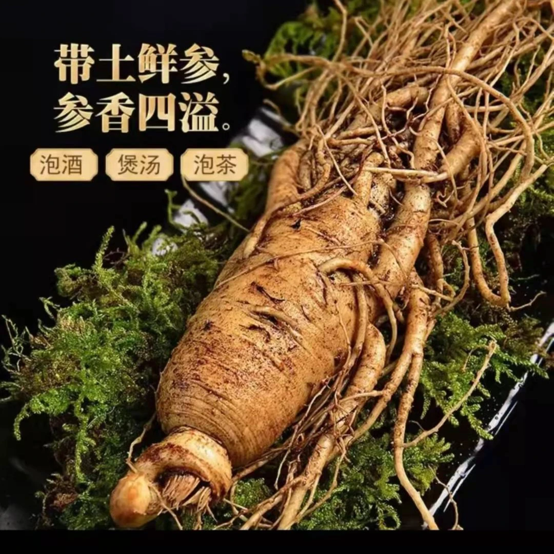 长白山原产地现挖新鲜人参【二两半大参买一送一】-100克 到130克