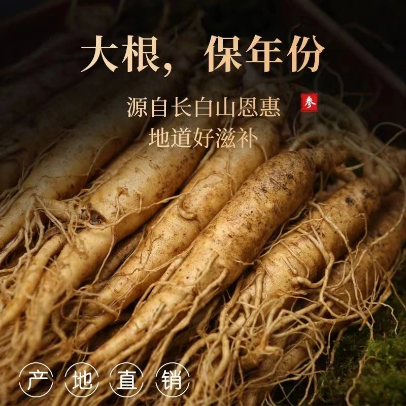 长白山新鲜产地直发包涵足年品质可煲汤泡酒【30支-35支左右一斤】