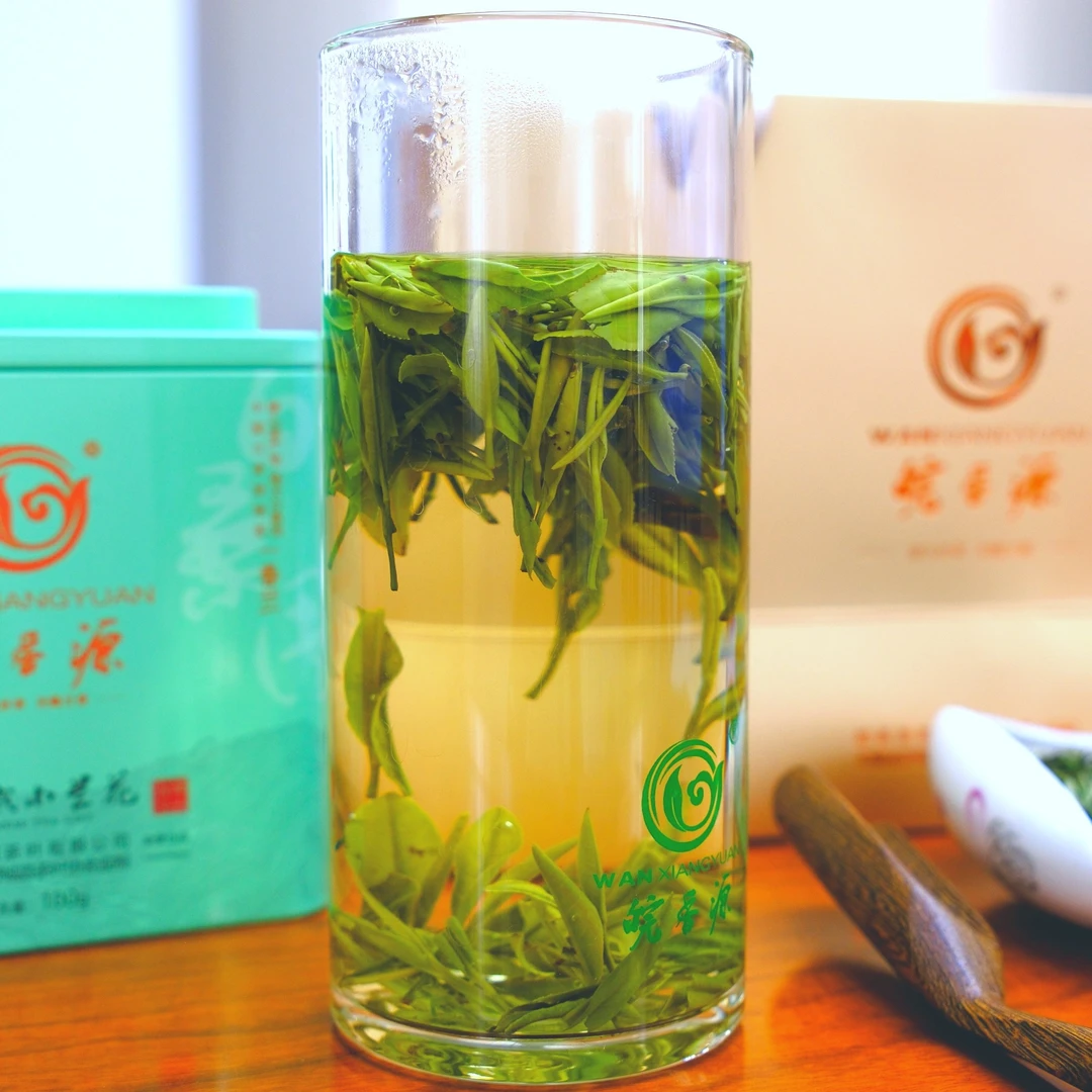 舒城小兰花核心产区—晓天白桑园