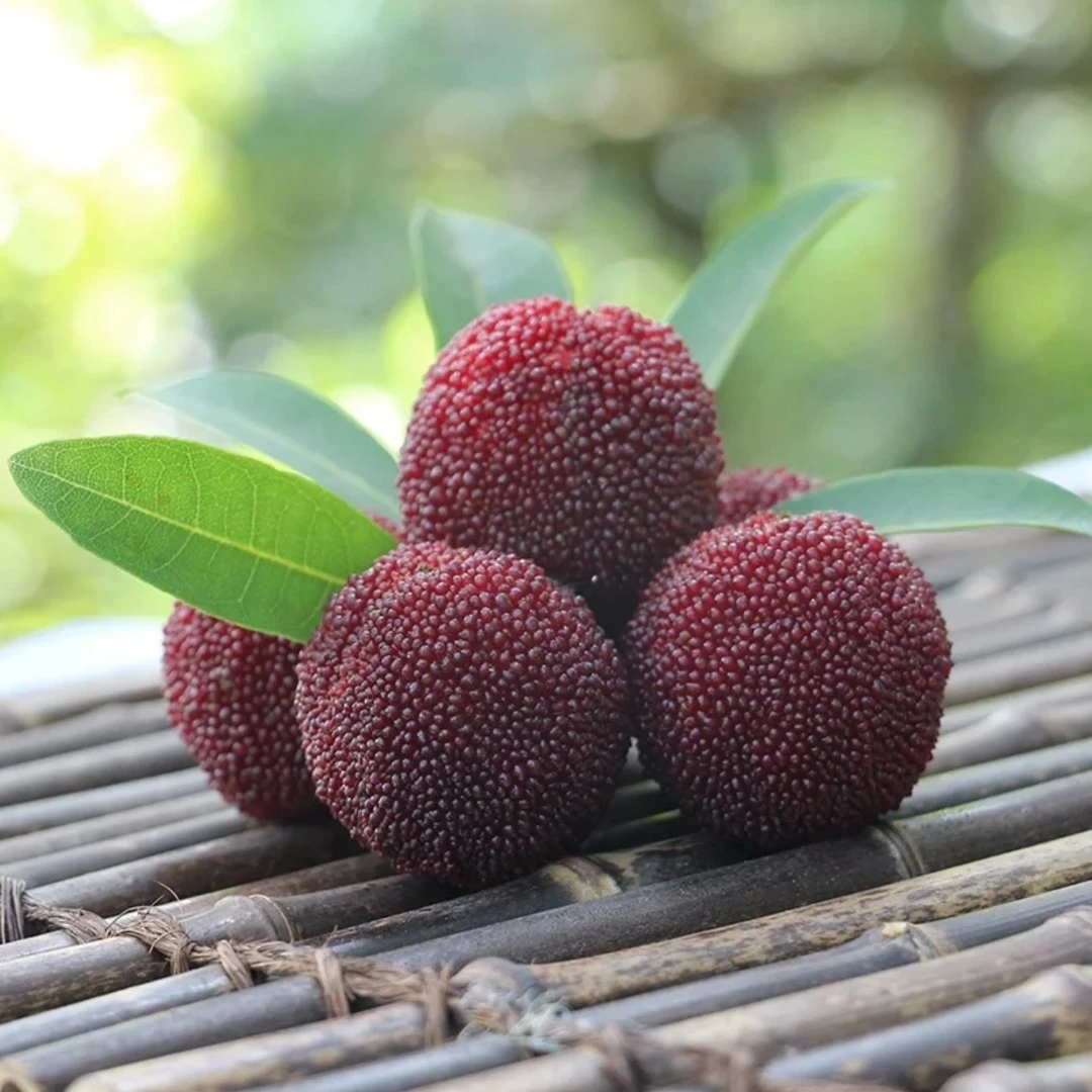 【仙居东魁杨梅】9A当季新鲜现摘现发自然成熟顺丰包邮