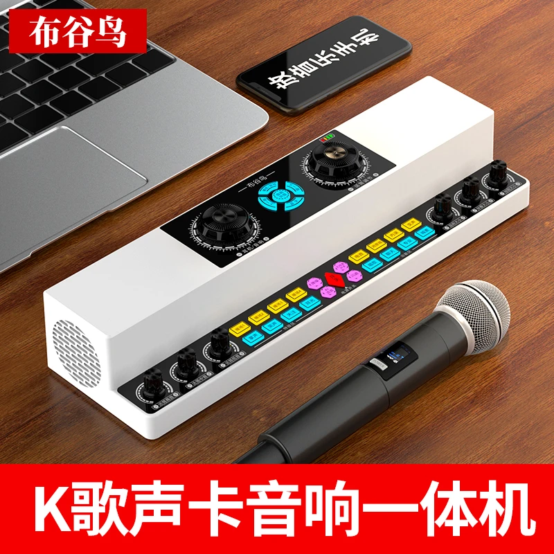 2024款 AI版布谷鸟Y6声卡音响一体机直播唱歌录音K歌无线蓝牙音箱