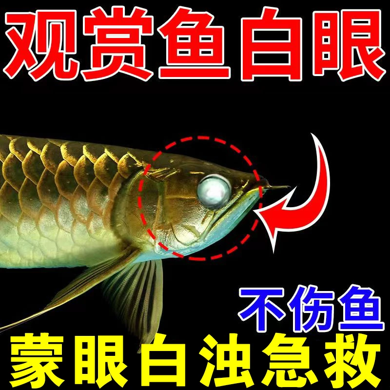 鱼蒙眼观赏鱼防掉眼鱼眼睛蒙眼肿胀充血凸眼白眼龙鱼眼专用
