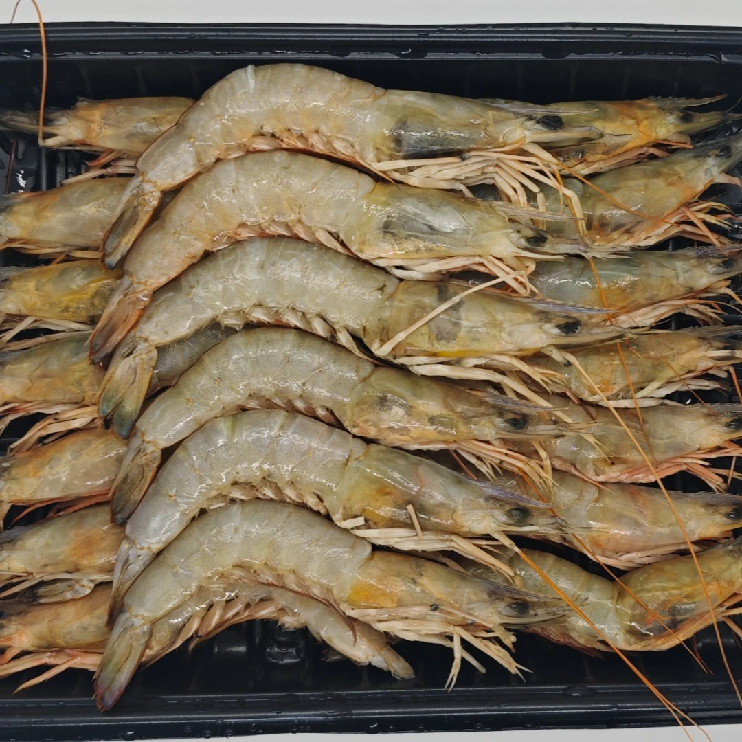 麻虾 16-20只/盒（净400g）海捕活冻野生