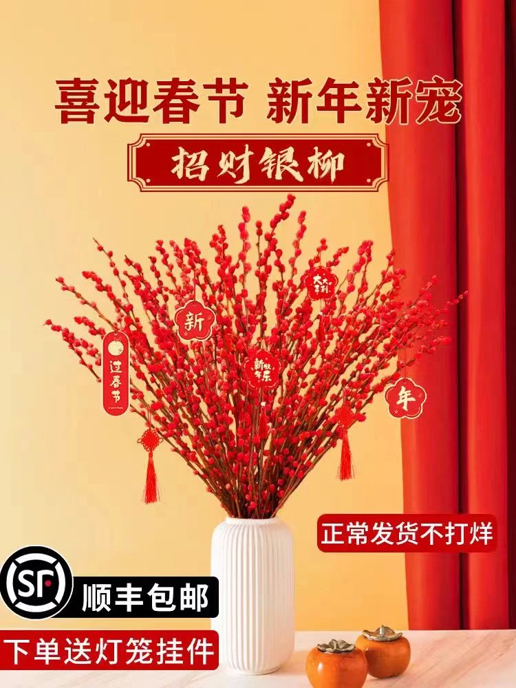 红色银柳  浪漫鲜花 昆明产地直发 低温地区未拍保温棉冻坏不售后