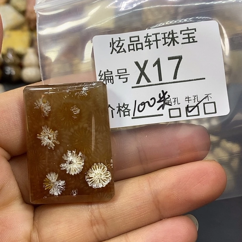 【闪购商品】硅化珊瑚（珊瑚玉）吊坠未镶嵌火****的k 17