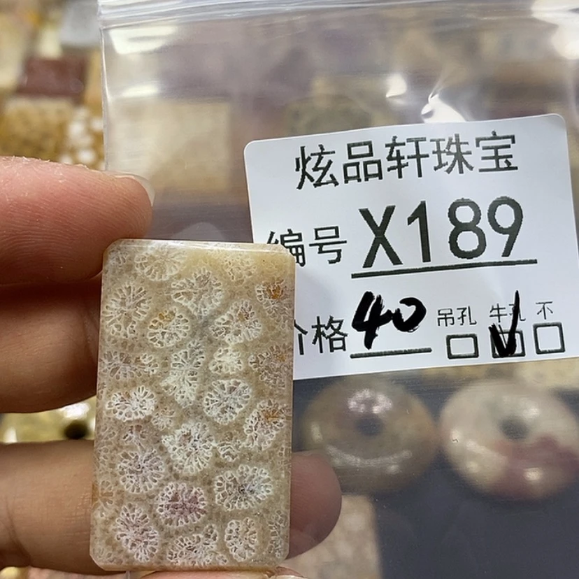 【闪购商品】硅化珊瑚（珊瑚玉）颈饰未镶嵌火****的z 189