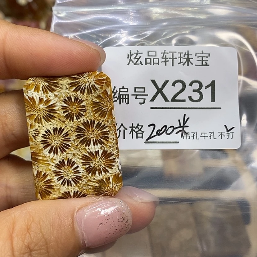 【闪购商品】硅化珊瑚（珊瑚玉）颈饰未镶嵌顺**安k 231