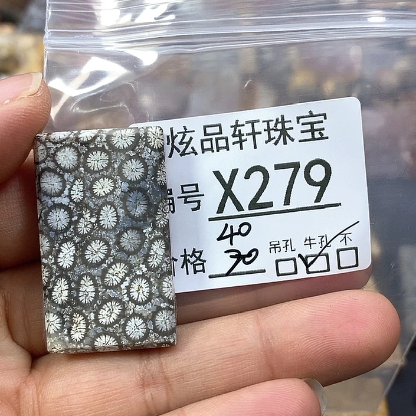 【闪购商品】硅化珊瑚（珊瑚玉）吊坠未镶嵌k 279