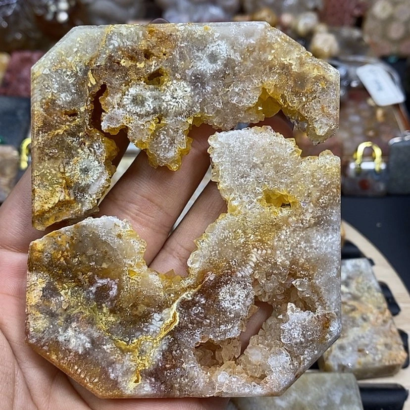 【闪购商品】硅化珊瑚（珊瑚玉）颈饰未镶嵌k 60