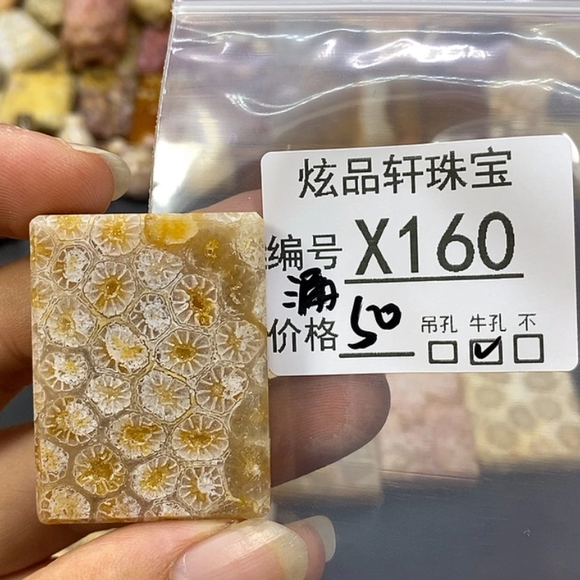 【闪购商品】硅化珊瑚（珊瑚玉）吊坠未镶嵌火****的z 160