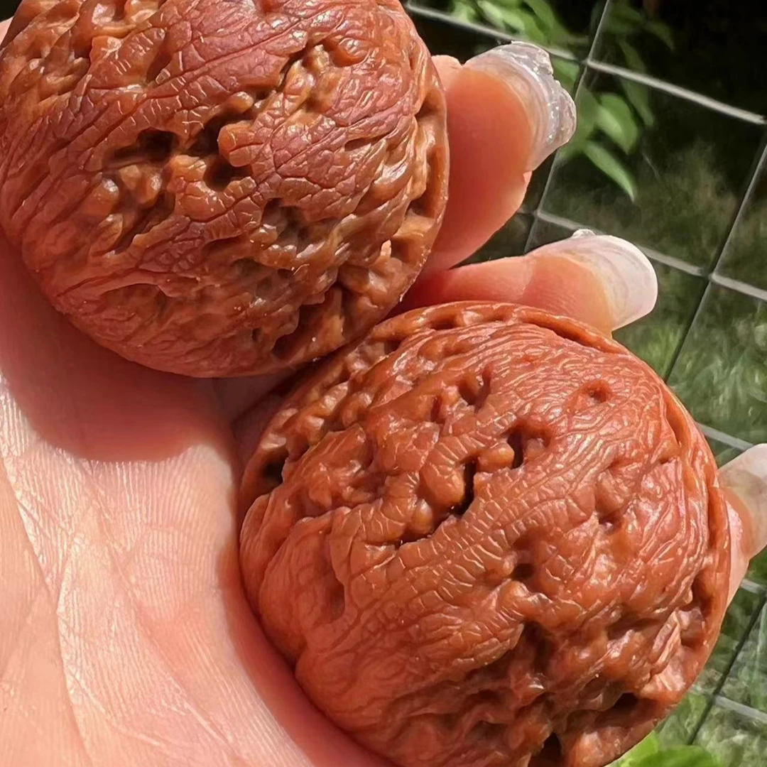 （龙珠）秦岭文玩核桃灯笼【图片仅供参考】