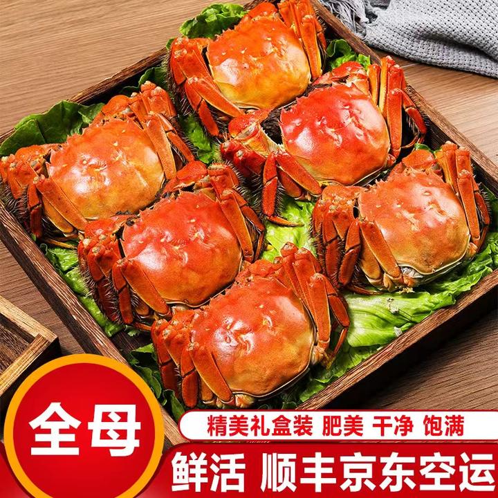 正宗苏蟹【全母3.5-3.2两10只】活蟹顺丰京东现发