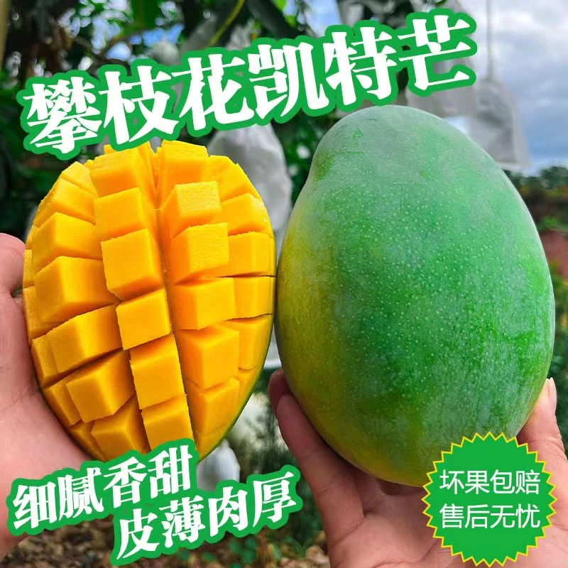 h【青皮凯特芒】攀枝花凯特芒果香甜多汁青皮大芒果带箱5/9.5-10斤