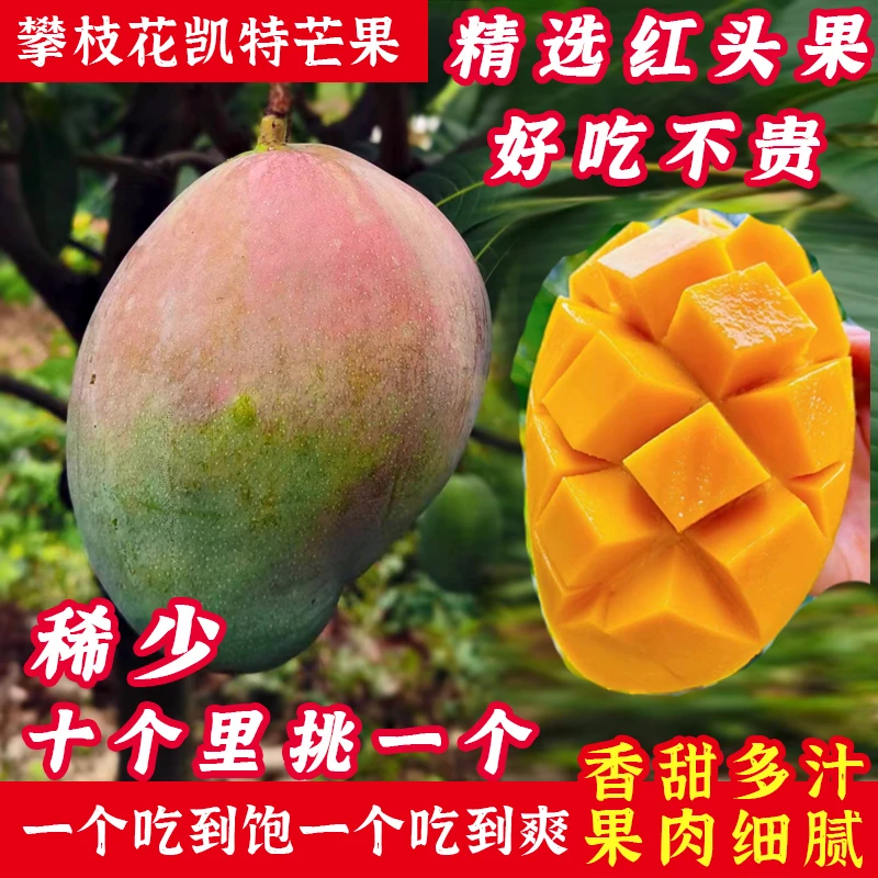 【礼盒装】四川攀枝花凯特芒果香甜多汁大芒果放软再吃8斤