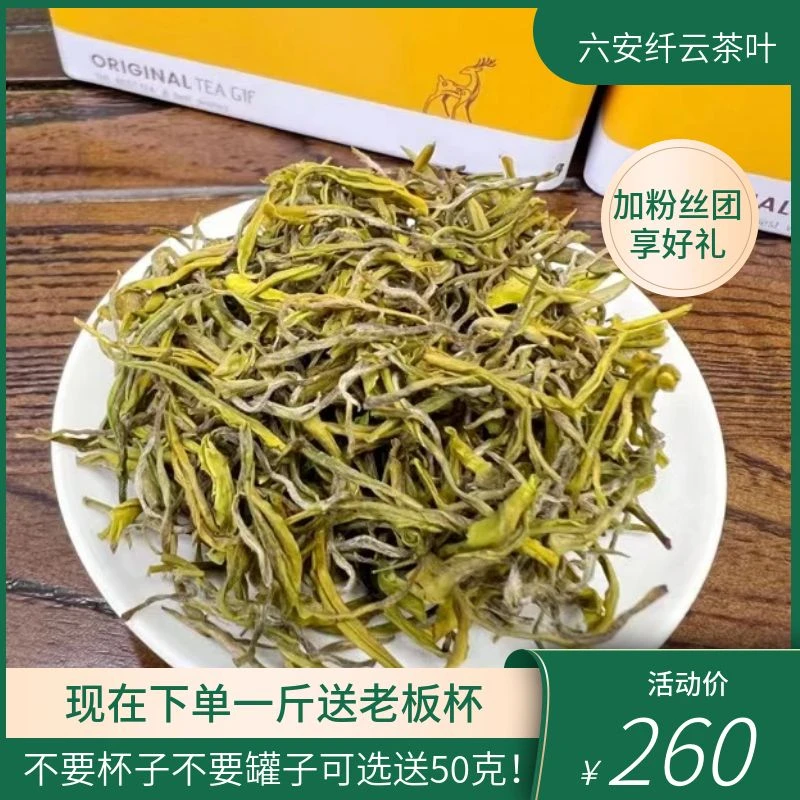 手工春茶黄金芽高豆香兰花香微卷味浓耐泡春季罐装袋装茶香