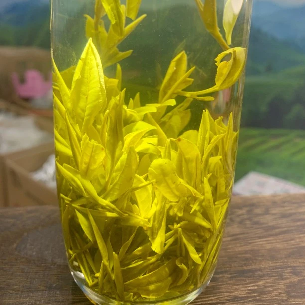 明前毛峰A5号黄山原产地新茶一芽一叶兰花香清香味浓耐泡袋装罐装