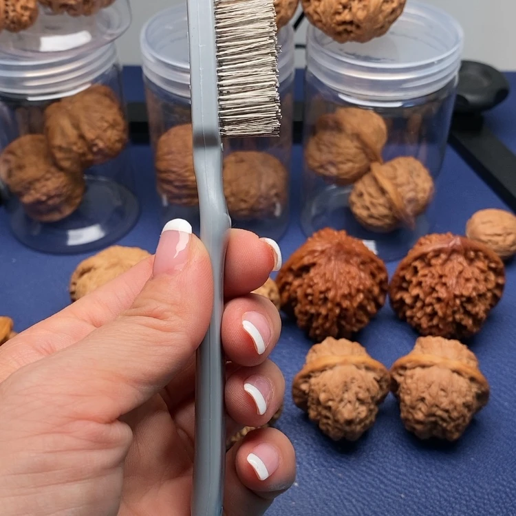 【闪购商品】桃核吊坠