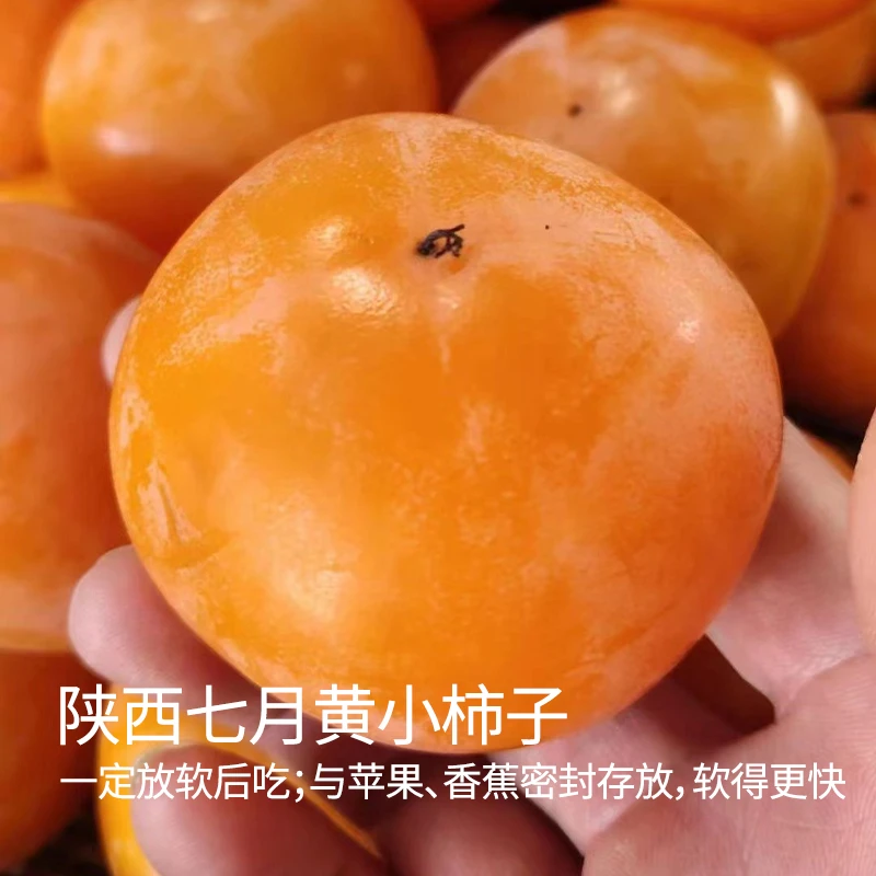 【新隆果时】陕西七月黄小柿子12-30枚单果50g+/70g+G