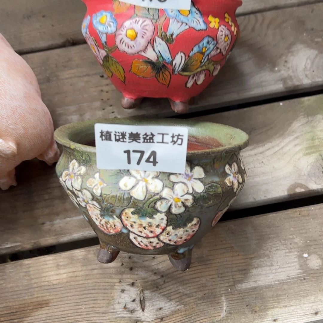 红陶20CM（含）-50CM（不含）烨*173（2