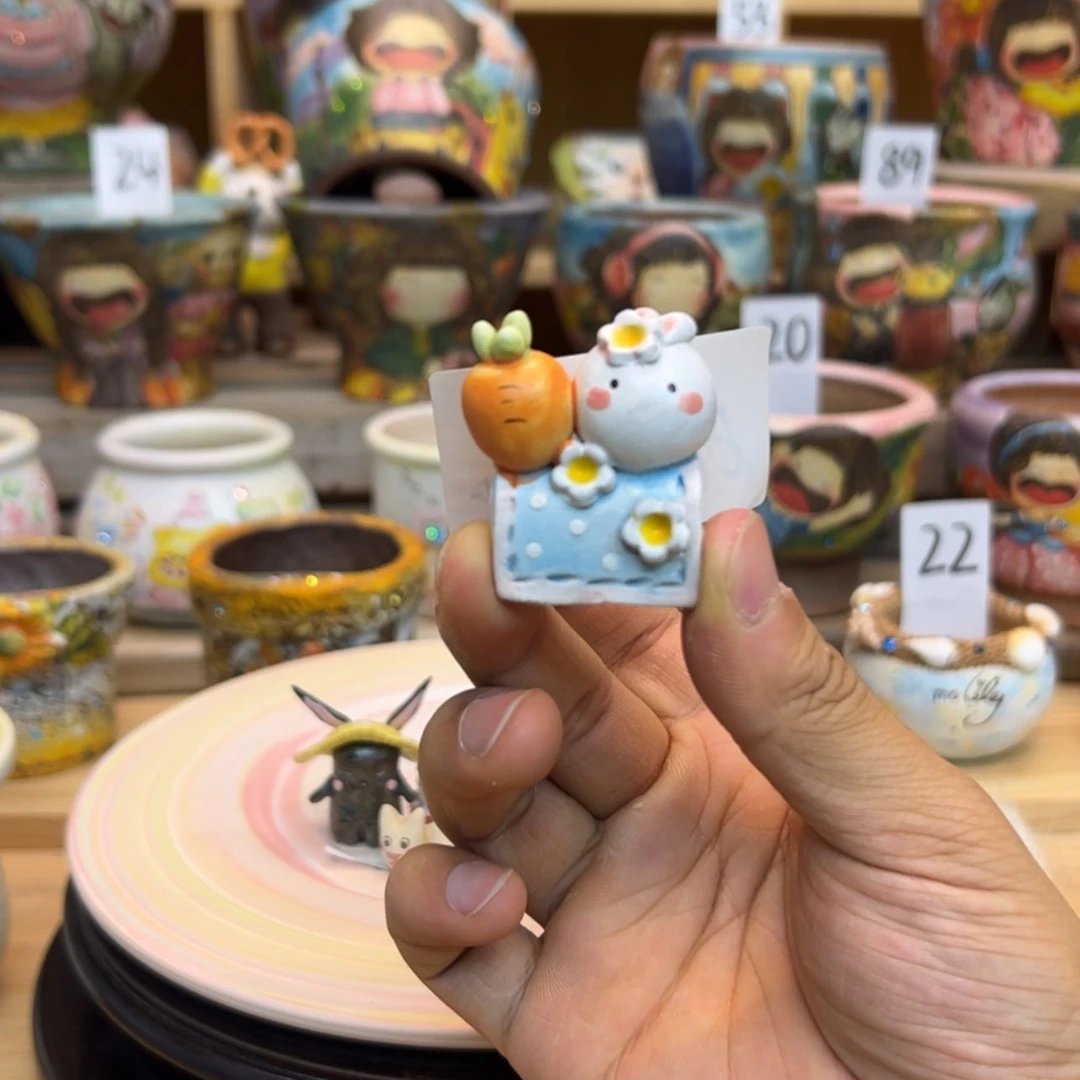 【闪购商品】今***木668