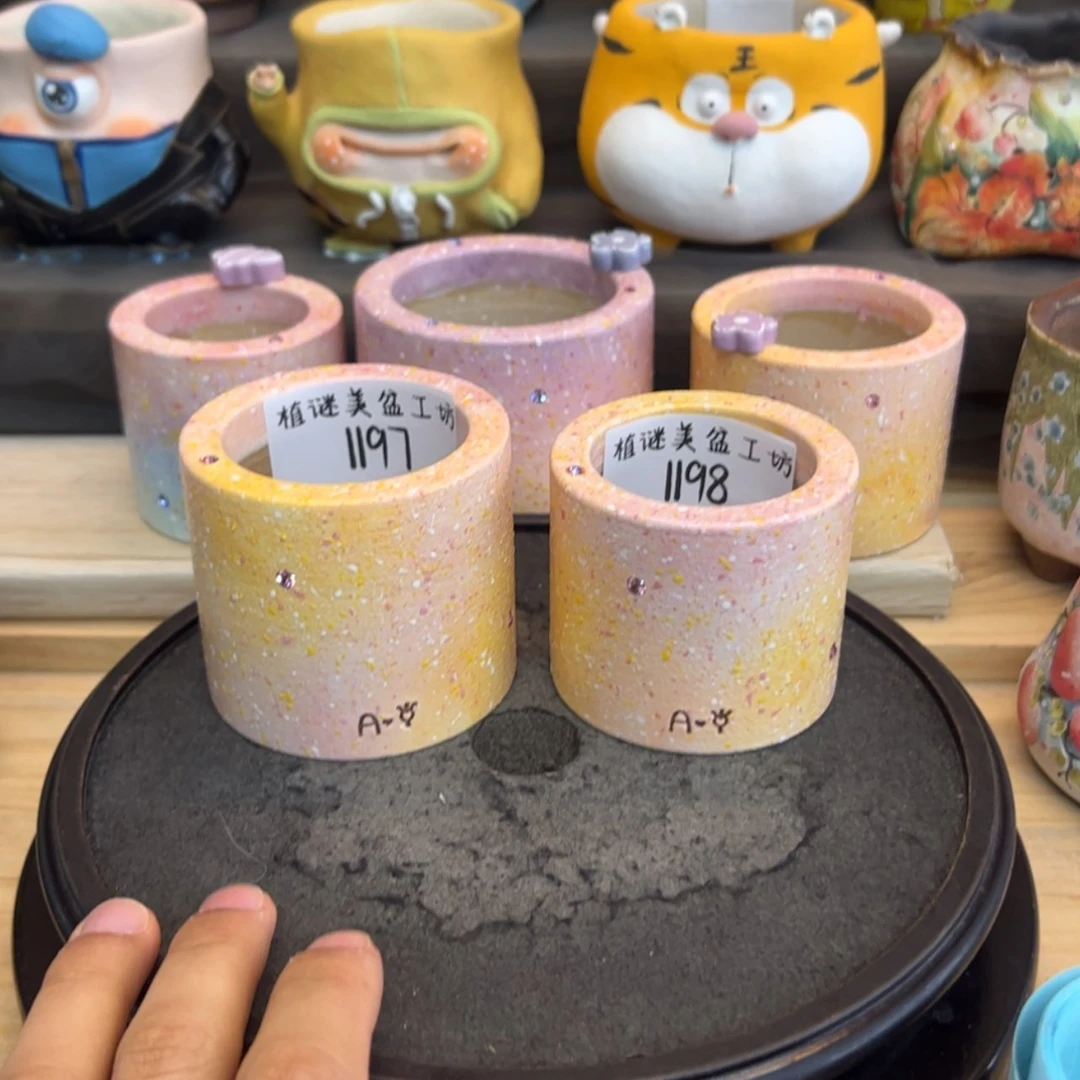 【闪购商品】红陶171cm(含)-200cm(含)?**?1197-1198