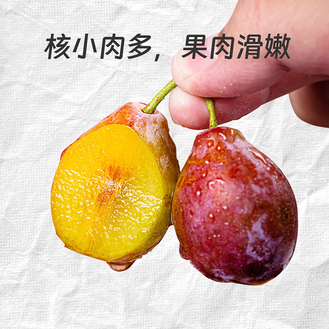 西域美农新疆喀什法兰西西梅3斤装鲜甜多汁双仓发货丰收季