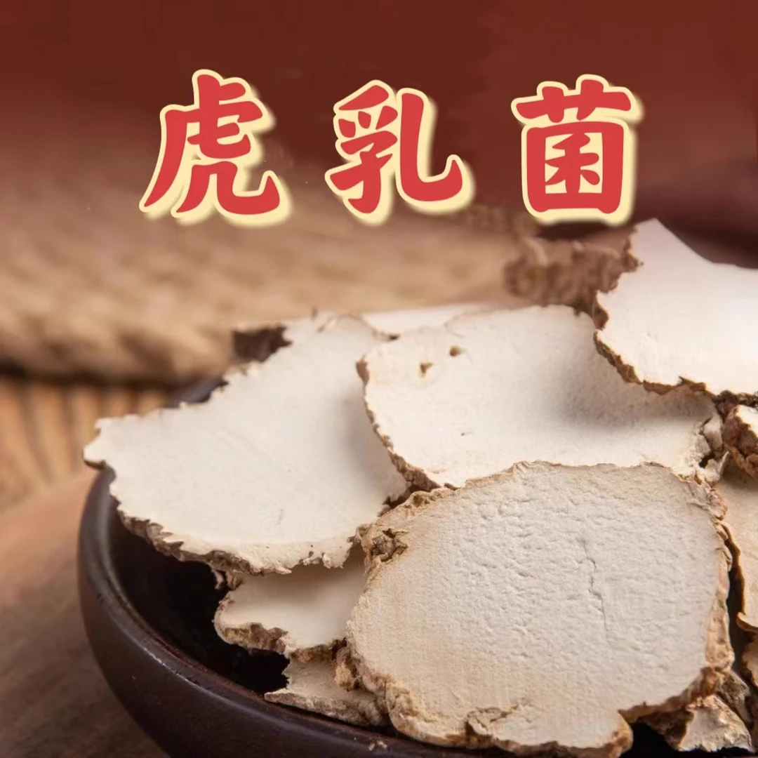 【虎乳菌】云南大山自然生长无熏硫