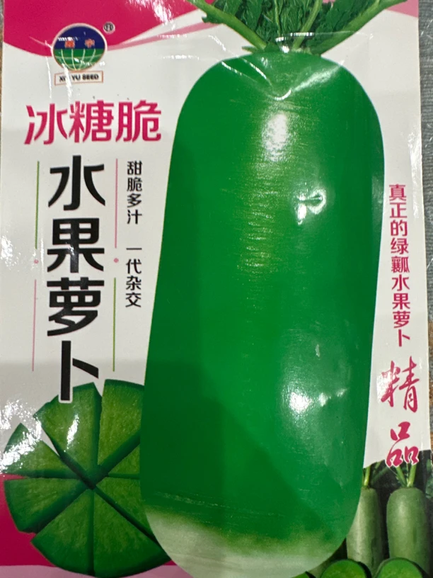 冰糖脆秋播水果萝卜种子