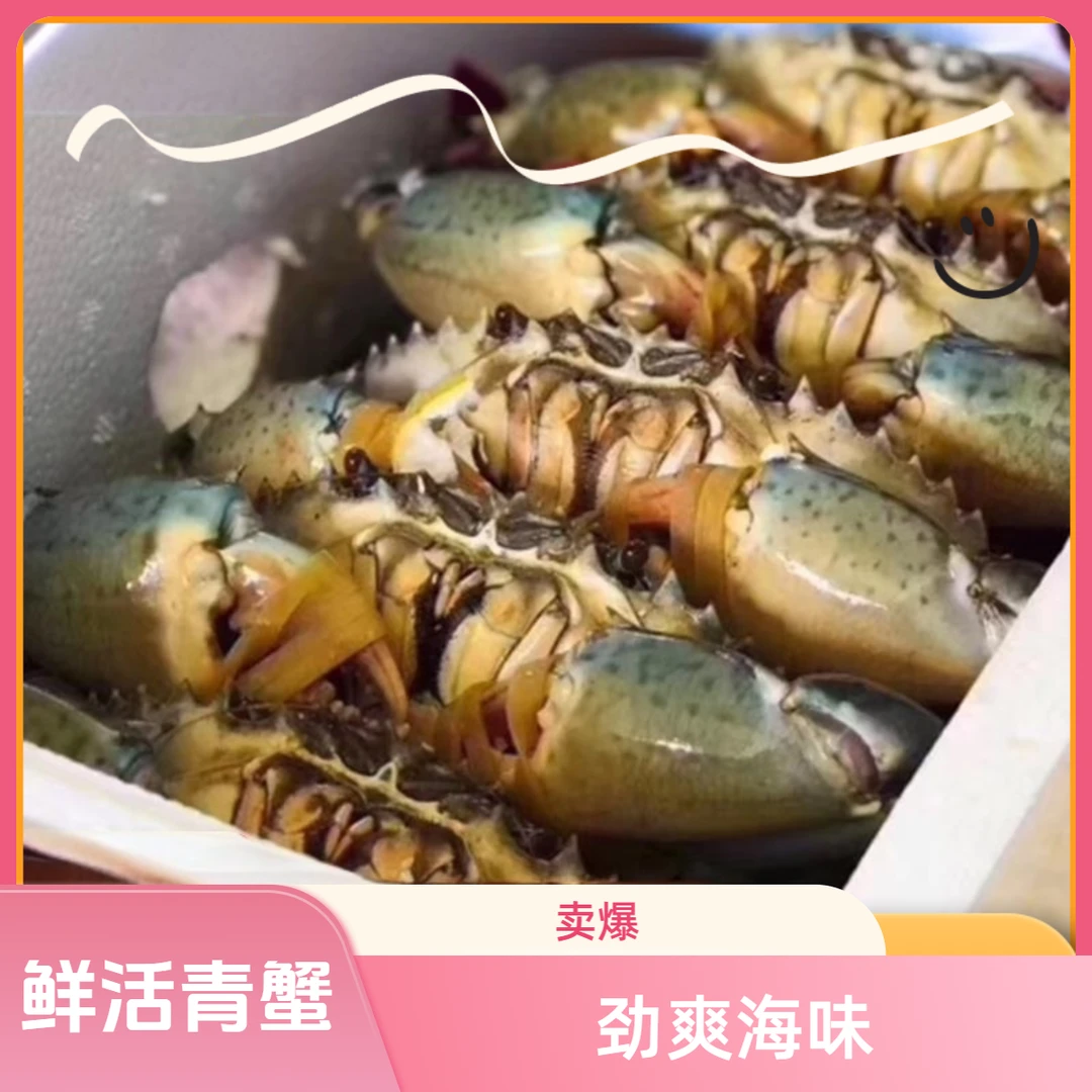 野生红鲟蟹青蟹鲜活特大母蟹超大福建红鲟膏蟹锯缘青蟹大螃蟹蝤蠓