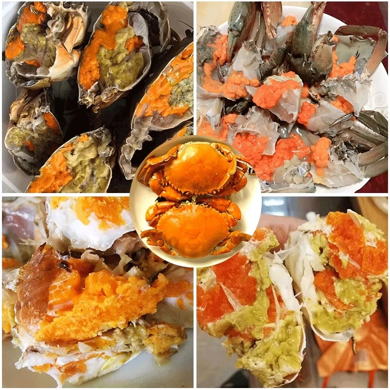 全母膏蟹净重4-5两/只东山岛青蟹鲜活海鲜水产红膏蟹黄油红鲟螃蟹