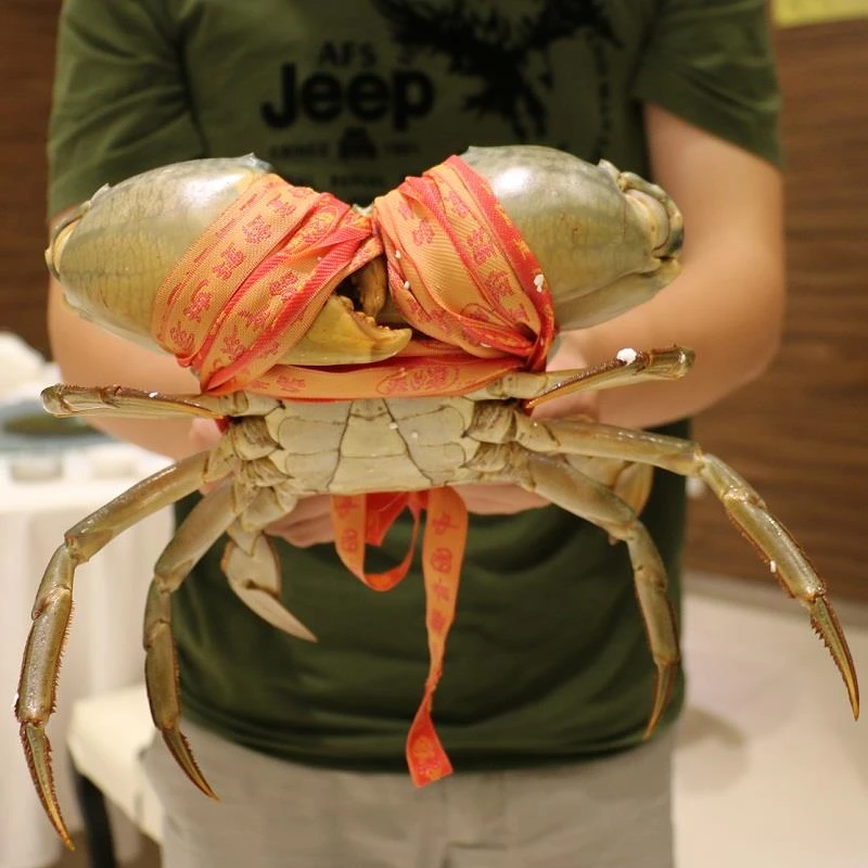 三门青蟹大公蟹平均8两/只海蟹鲜活菜鲟食用海鲜水产螃蟹直播卖货