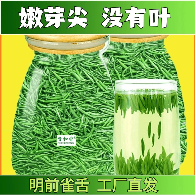 【2025新茶】A2贵和香雀舌嫩芽湄潭雀舌明前绿茶浓香型高山毛尖茶叶