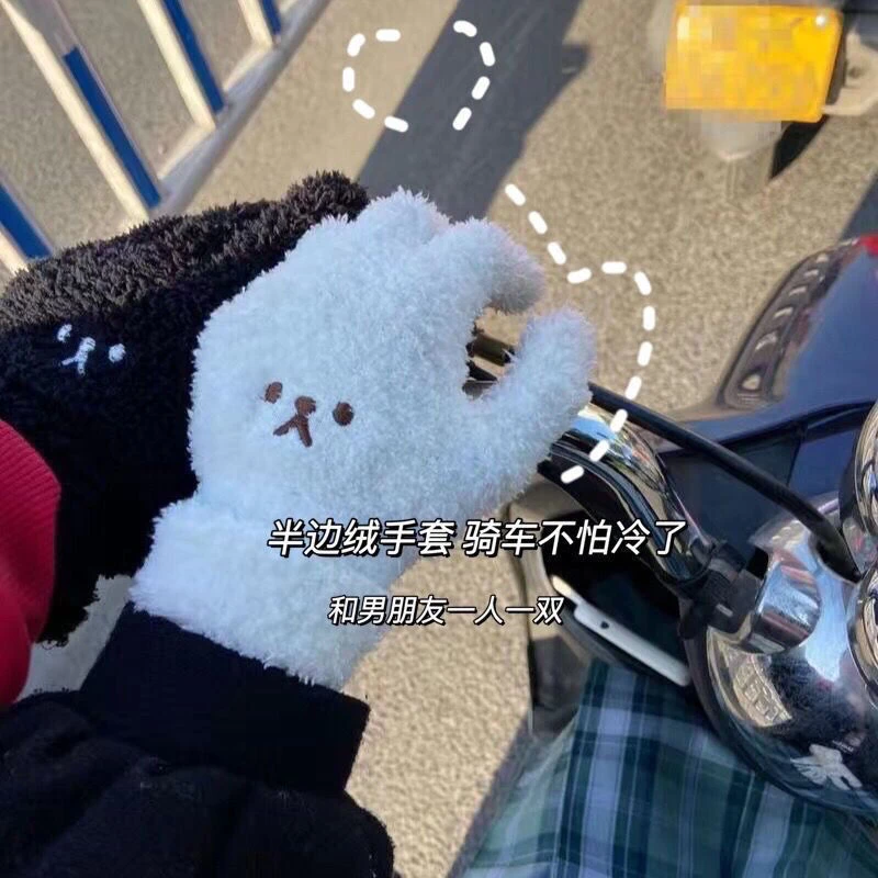 【爱宝】毛绒日系刺绣小熊可爱卡通防风防寒户外骑冬季保暖分指手套
