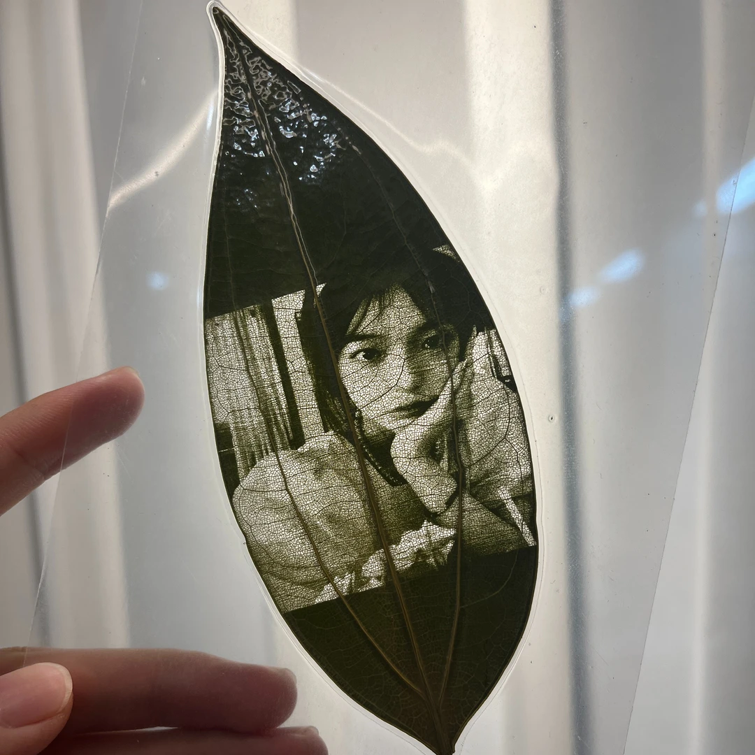 【爱宝】叶雕照片定制生日创意礼物送女生男生树叶雕刻叶子雕刻礼物