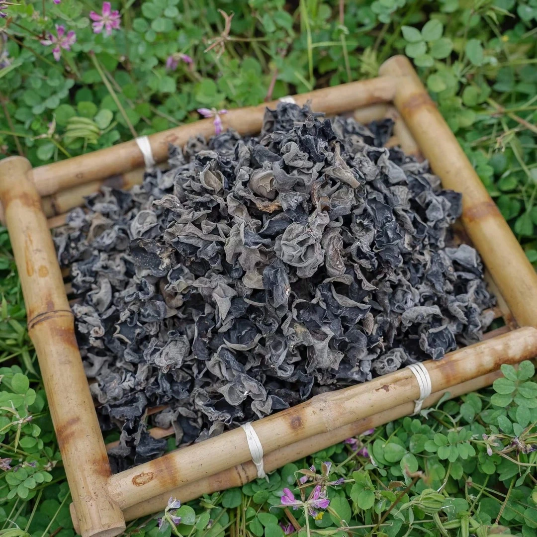 M 高山 农家 黑木耳