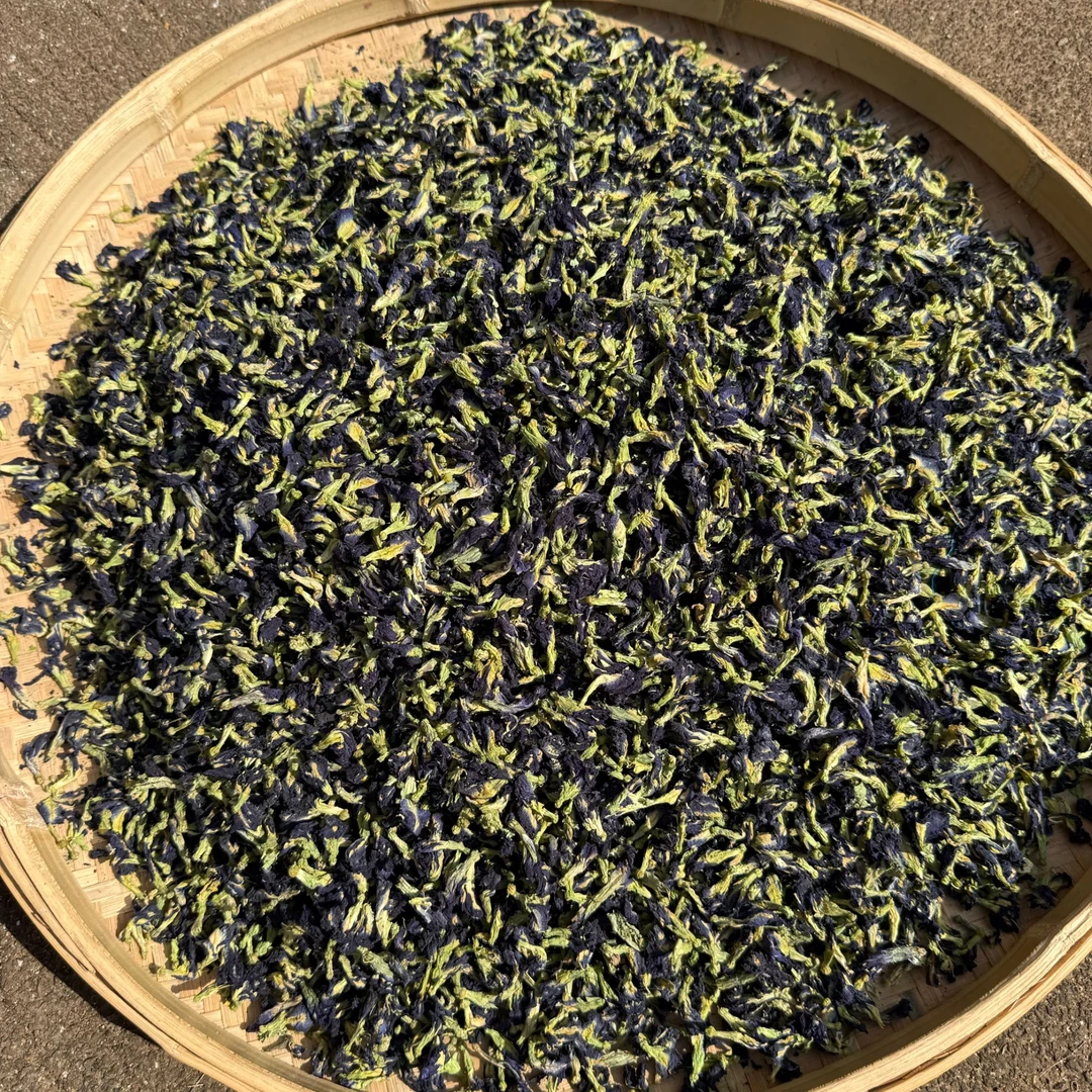 X  高山 农家 蓝色妖姬  莫奈蓝蝶花茶