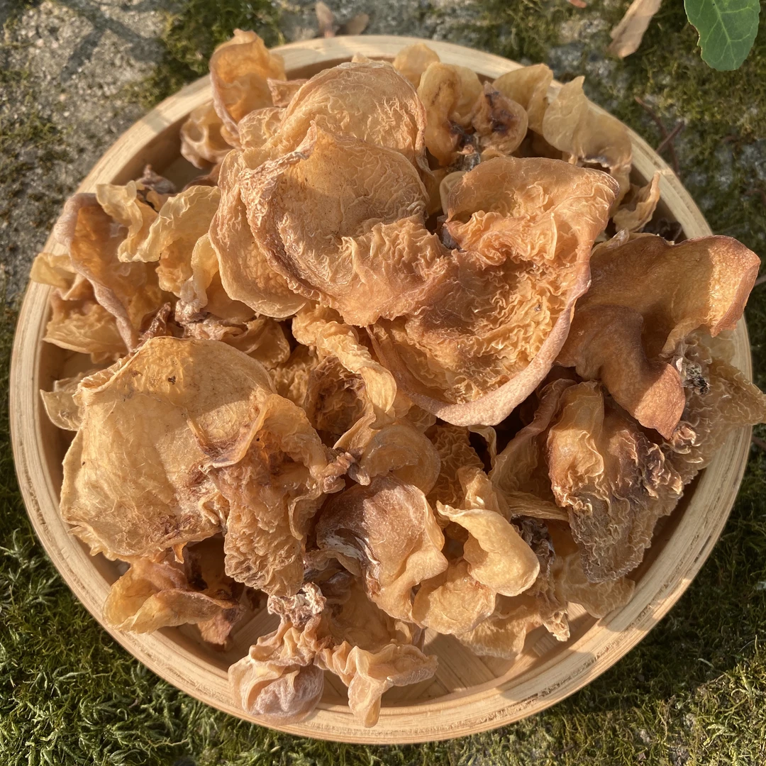 M 高山农家 羊肚耳
