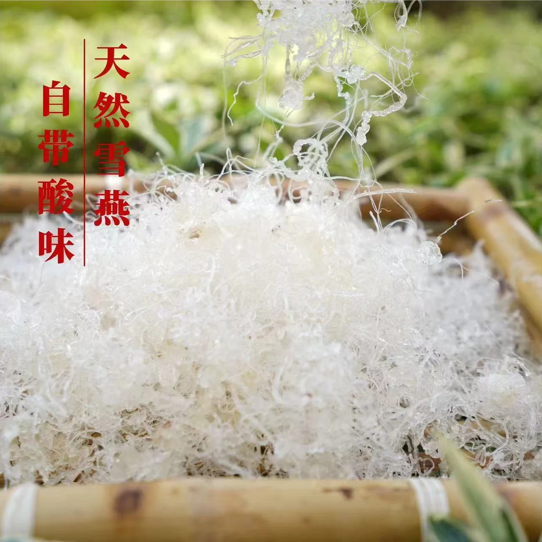 CLS 高山 农家 拉丝雪燕