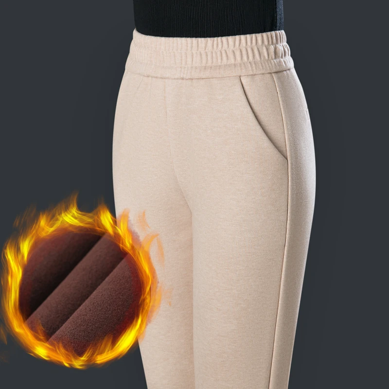 冬季新款毛呢裤子加绒加厚烟管裤高腰小个子哈伦裤九分裤秋冬女裤