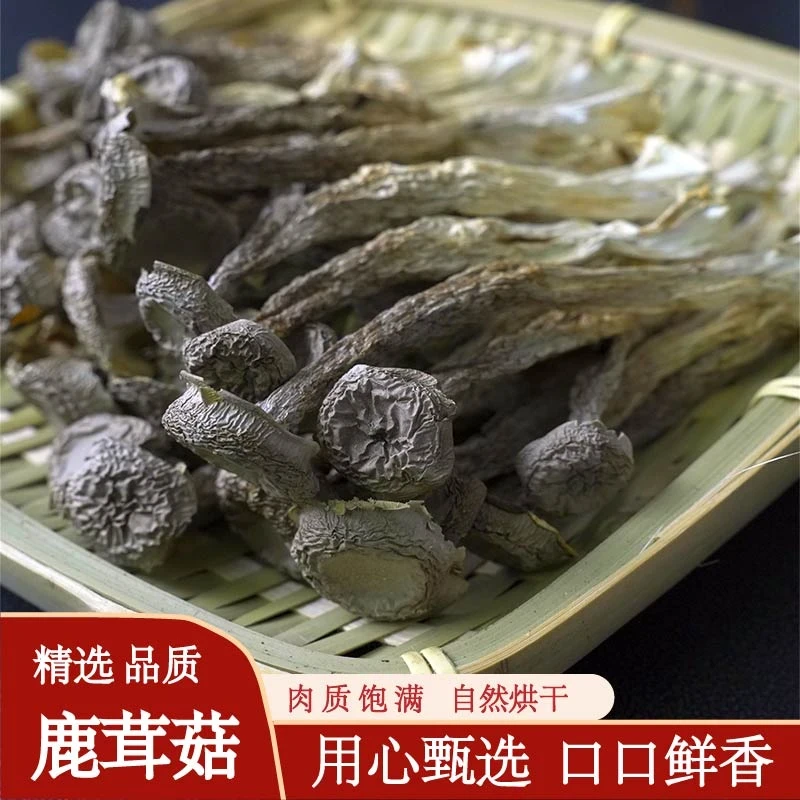 鹿茸菇干鹿茸菇特产新货无硫煲汤干锅250克500克菌菇美味美味