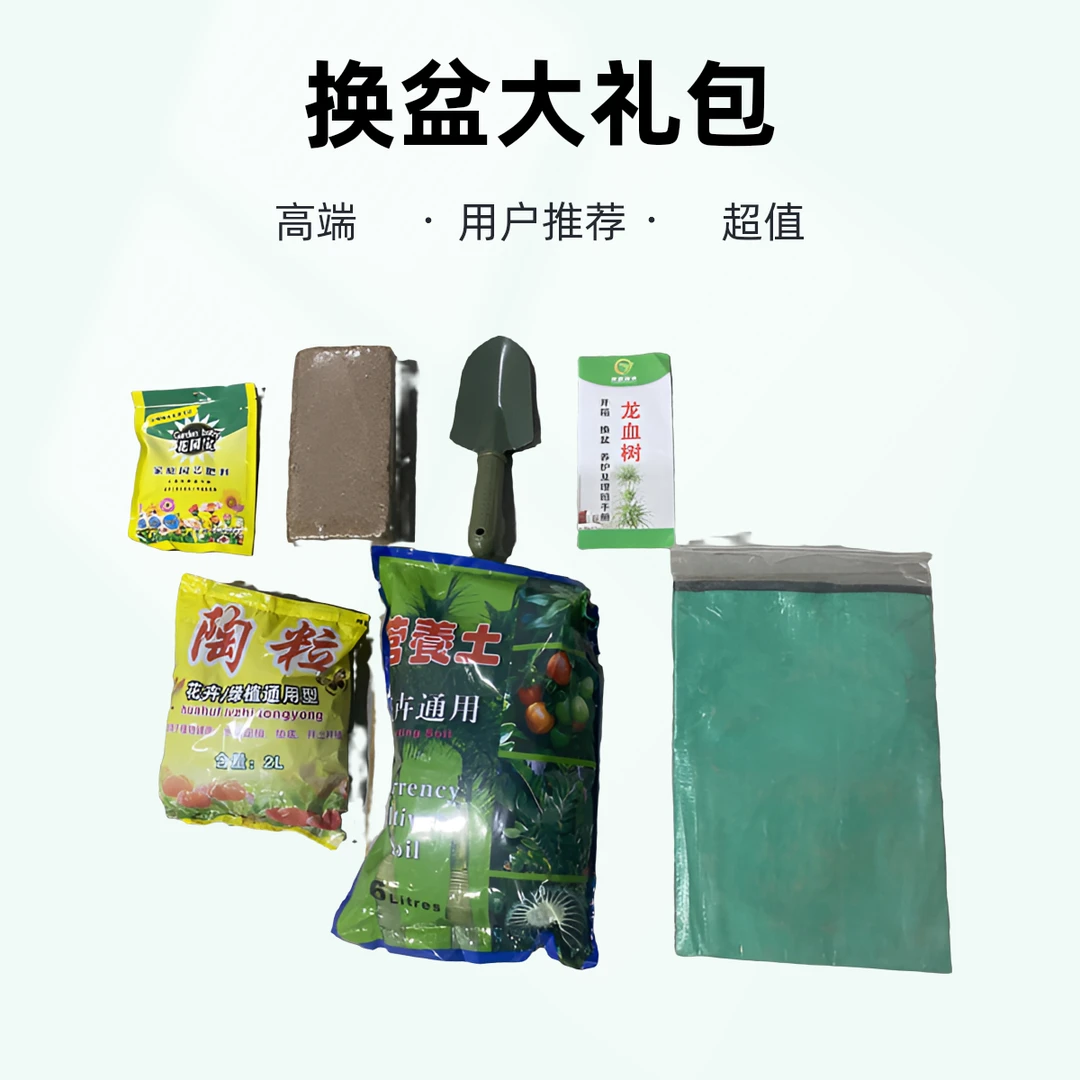 景秀花城养护龙血树换盆大礼包