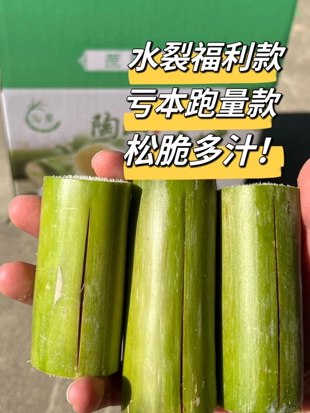 陶山青皮甘蔗3斤水裂果肉爆汁甘甜青皮产地陶山青皮陶山青皮甘蔗