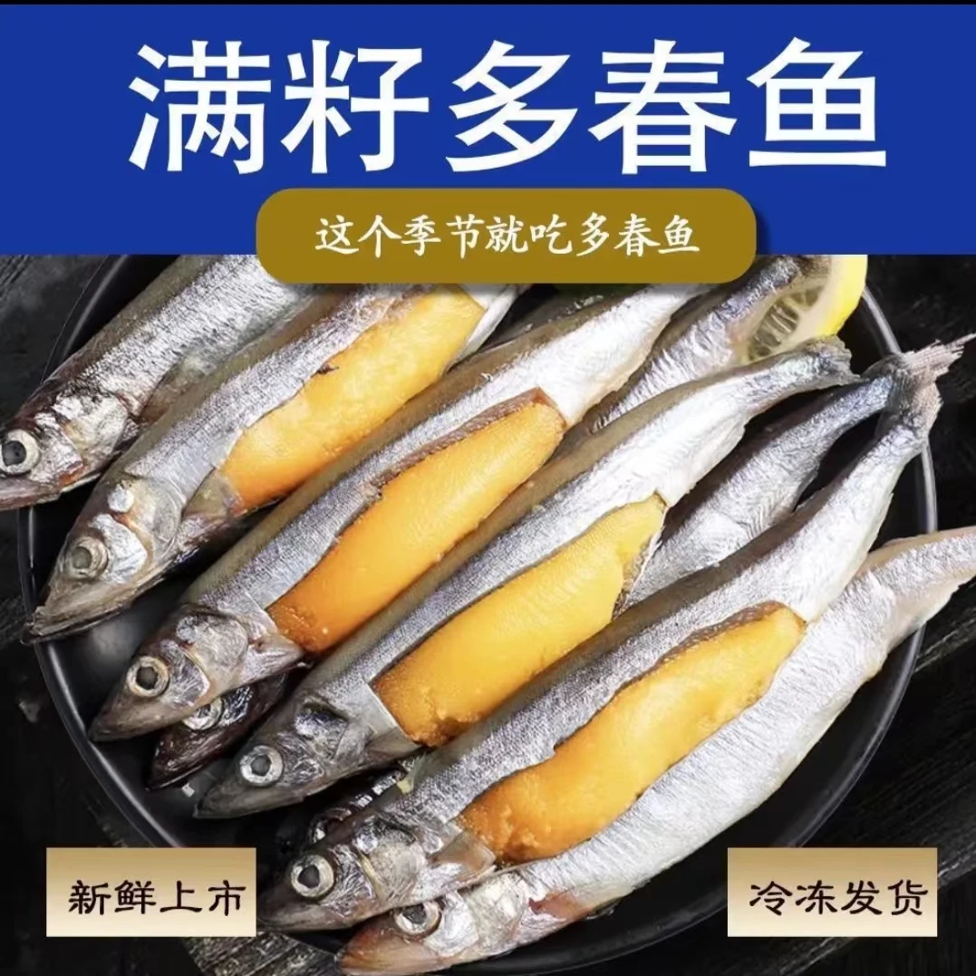 【顺丰冷链】新鲜海捕满籽多春鱼大号速冻天然籽多籽鱼150克/包